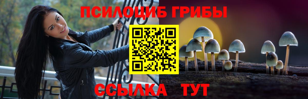 Галлюциногенные грибы Psilocybine cubensis  Вход с VPN  Аксай 